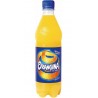 Orangina 50cl (pack de 24)