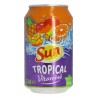 SUN Boisson à base de concentré de fruits exotiques boîte 33cl